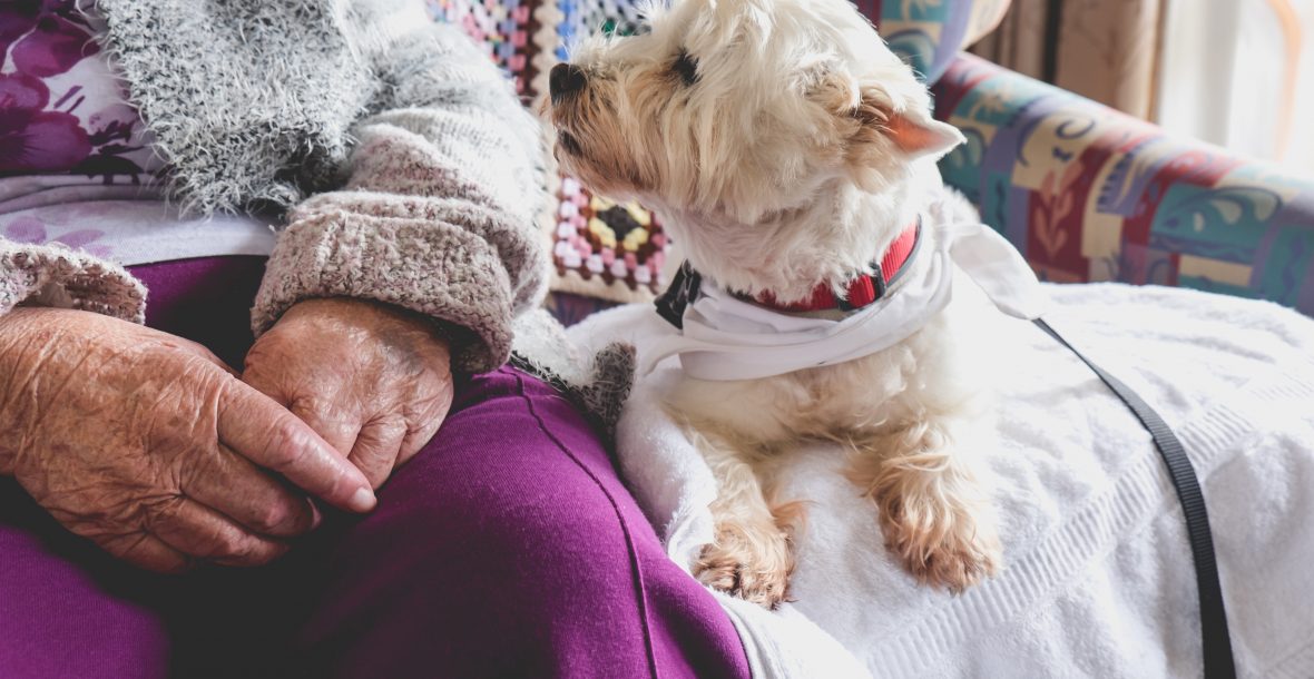 Pets In Care Homes - Parting older people from companion animals